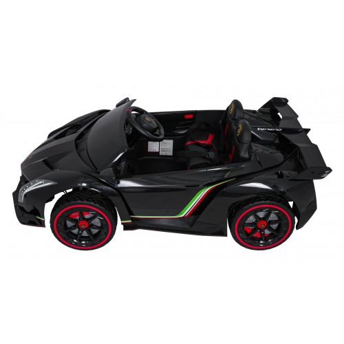Vehicle Lamborghini Veneno Black