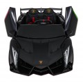 Vehicle Lamborghini Veneno Black