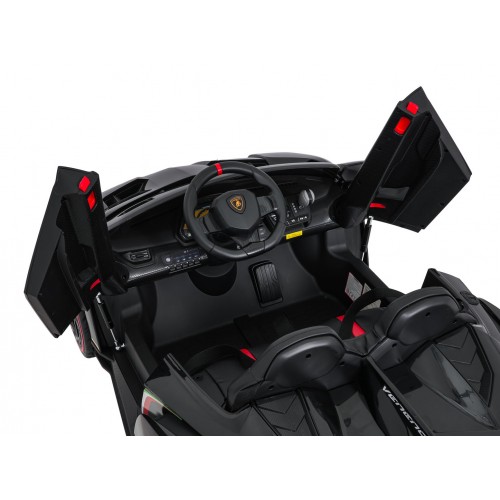 Vehicle Lamborghini Veneno Black