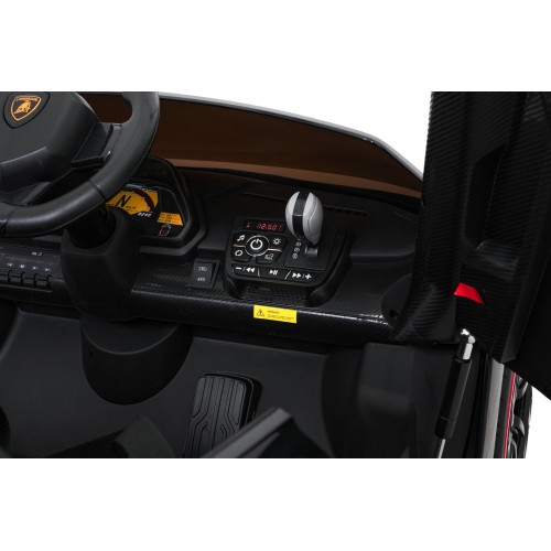 Vehicle Lamborghini Veneno Black