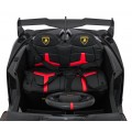 Vehicle Lamborghini Veneno Black