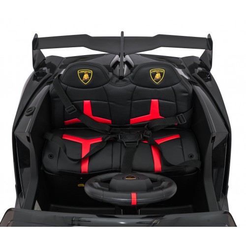 Vehicle Lamborghini Veneno Black