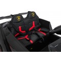 Vehicle Lamborghini Veneno Black