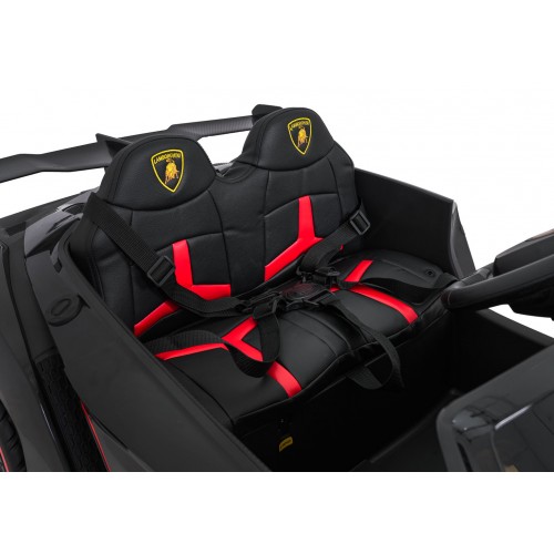 Vehicle Lamborghini Veneno Black