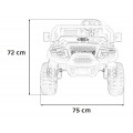 Buggy 4-seater Champion Green
