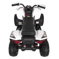 Quad Fast Wheel Vehicle White