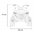 Quad Fast Wheel Vehicle Black