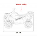 Quad ATV Robust 01 Black