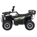 Quad ATV Robust 01 White