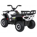 Quad ATV Robust 01 White