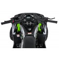 Quad Bike Petrol 200CC MONSTER Green