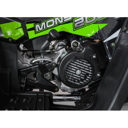 Quad Bike Petrol 200CC MONSTER Green