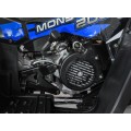 200CC MONSTER Blue Petrol Quad Bike