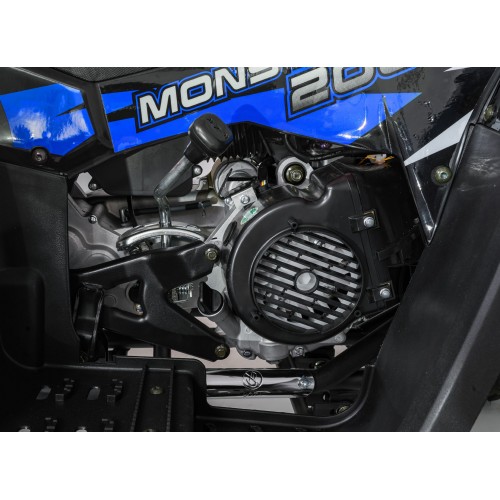 200CC MONSTER Blue Petrol Quad Bike