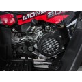 Quad Bike Petrol 200CC MONSTER Red