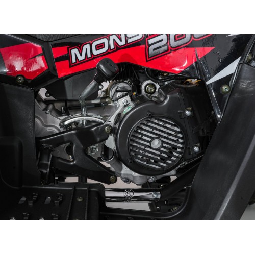 Quad Bike Petrol 200CC MONSTER Red