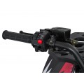 Quad Bike Petrol 200CC MONSTER Red