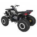 Quad Bike Petrol 200CC MONSTER Black