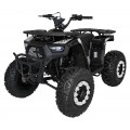 Quad Bike Petrol 200CC MONSTER Black