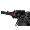 Quad Bike Petrol 200CC MONSTER Black