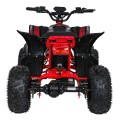 Quad Vehicle DESERT STORM LIFT Red