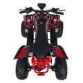 Quad Vehicle DESERT STORM LIFT Red