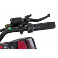 Quad Vehicle DESERT STORM LIFT Red