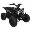 Quad Vehicle DESERT STORM LIFT Black