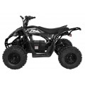 Quad Vehicle DESERT STORM LIFT Black