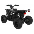 Quad Vehicle DESERT STORM LIFT Black