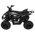 Quad Vehicle DESERT STORM LIFT Black