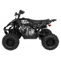 DESERT STORM LIFT Black Quad Bike