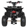 DESERT STORM LIFT Black Quad Bike