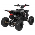 DESERT STORM LIFT Black Quad Bike
