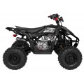 DESERT STORM LIFT Black Quad Bike
