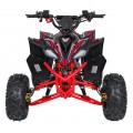 DESERT STORM LIFT Red Petrol Quad Bike
