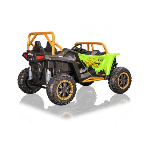 Buggy Arctic Cat WILDCAT XX Green