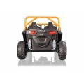 Buggy Arctic Cat Green