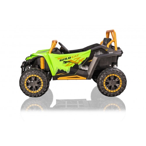 Buggy Arctic Cat Green