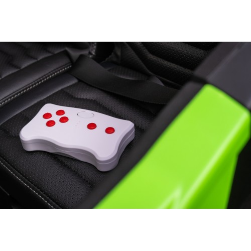 Buggy Arctic Cat WILDCAT XX Green