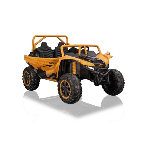 Buggy Arctic Cat Gold