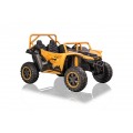 Buggy Arctic Cat Gold
