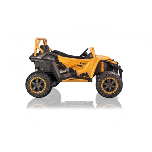 Buggy Arctic Cat Gold