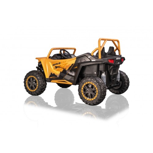 Buggy Arctic Cat Gold
