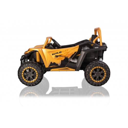 Buggy Arctic Cat Gold