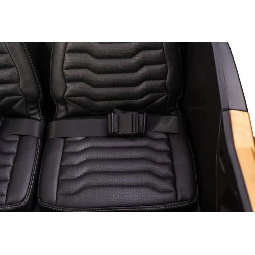 Buggy Arctic Cat Gold