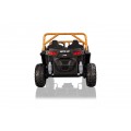 Buggy Arctic Cat WILDCAT XX Blue