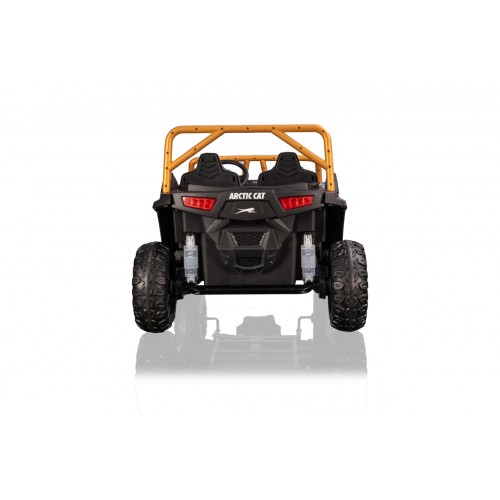Buggy Arctic Cat WILDCAT XX Blue