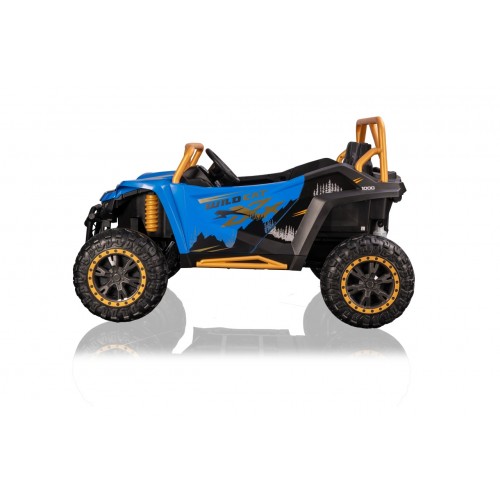 Buggy Arctic Cat WILDCAT XX Blue