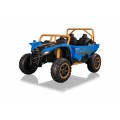 Buggy Arctic Cat WILDCAT XX Blue
